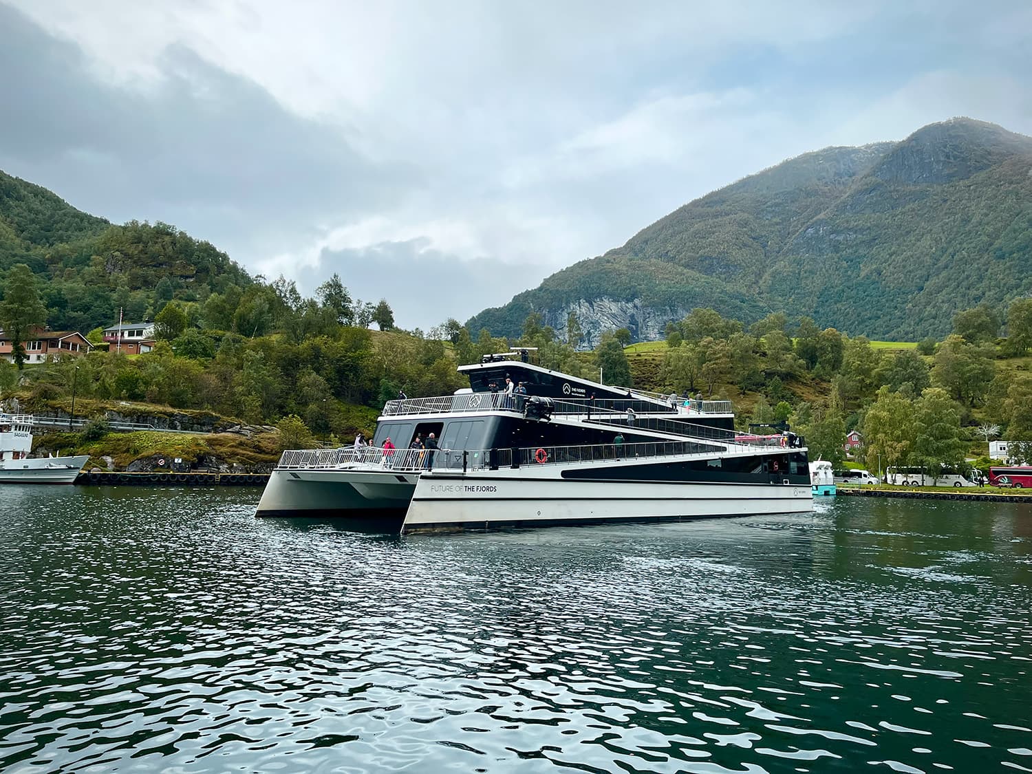 Nærøyfjord Cruise