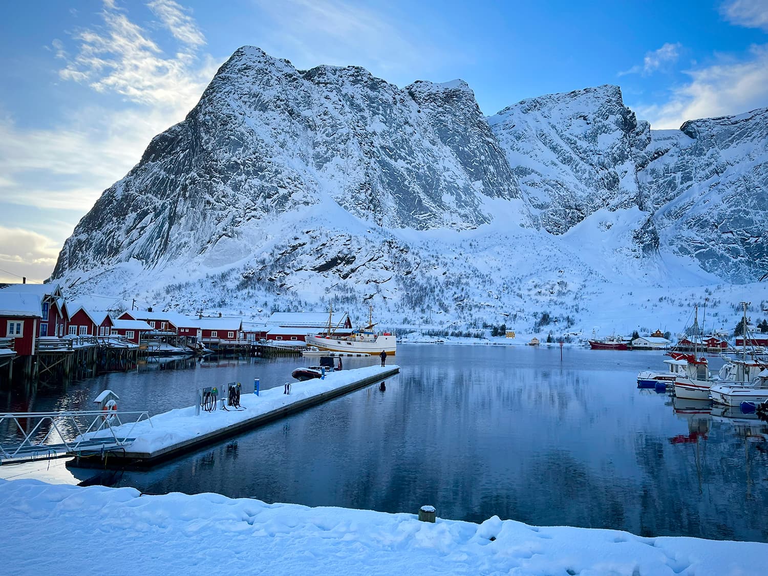 Reine